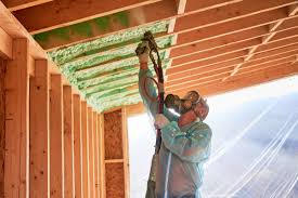 Best Basement Insulation  in Cape Coral, FL